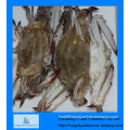 blue crab wholesale